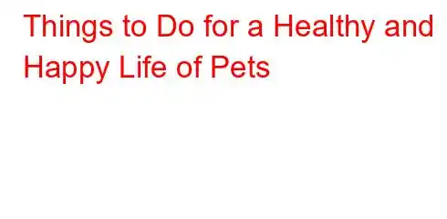 Things to Do for a Healthy and Happy Life of Pets