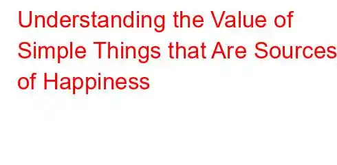 Understanding the Value of Simple Things that Are Sources of Happiness