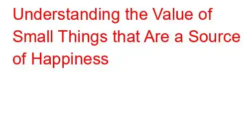 Understanding the Value of Small Things that Are a Source of Happiness