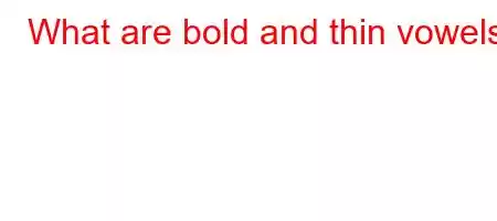 What are bold and thin vowels