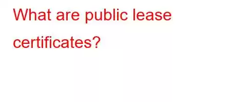 What are public lease certificates?