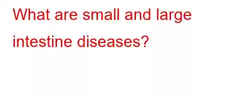 What are small and large intestine diseases?