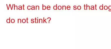 What can be done so that dogs do not stink?