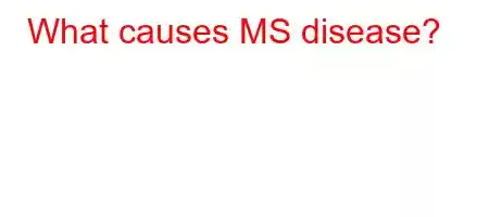 What causes MS disease?