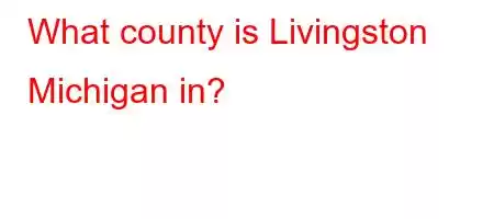 What county is Livingston Michigan in?