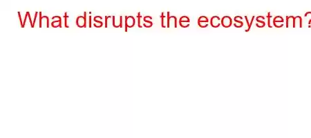 What disrupts the ecosystem?