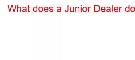 What does a Junior Dealer do?