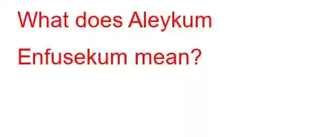 What does Aleykum Enfusekum mean