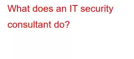 What does an IT security consultant do