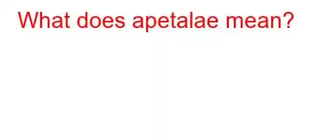 What does apetalae mean