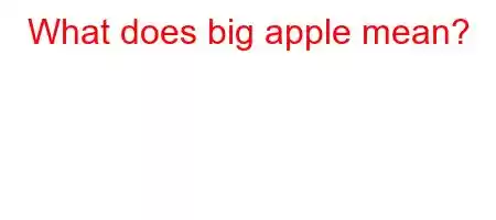 What does big apple mean?