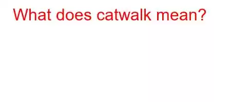 What does catwalk mean?