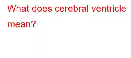 What does cerebral ventricle mean?