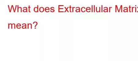 What does Extracellular Matrix mean