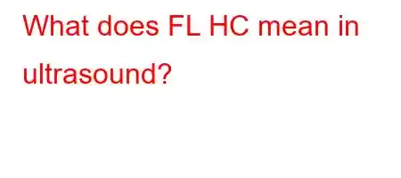 What does FL HC mean in ultrasound?