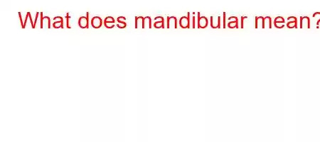 What does mandibular mean?