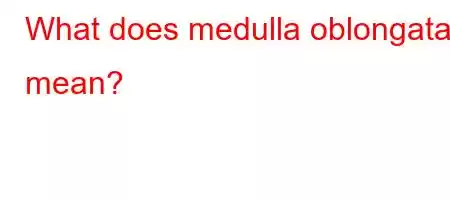 What does medulla oblongata mean?