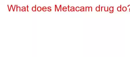 What does Metacam drug do?