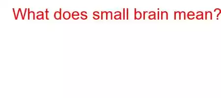 What does small brain mean