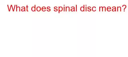 What does spinal disc mean