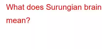 What does Surungian brain mean?