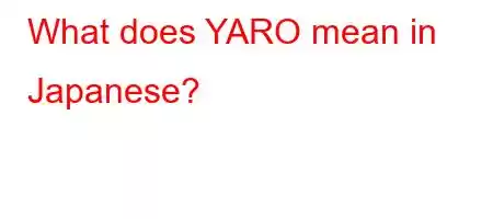 What does YARO mean in Japanese?