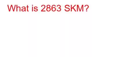 What is 2863 SKM?