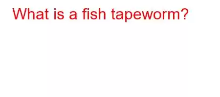 What is a fish tapeworm