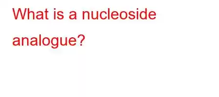 What is a nucleoside analogue