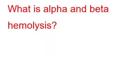 What is alpha and beta hemolysis