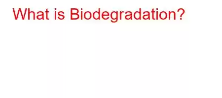 What is Biodegradation?