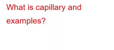 What is capillary and examples?