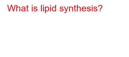 What is lipid synthesis