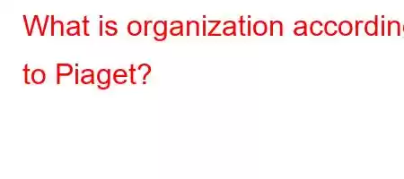 What is organization according to Piaget?