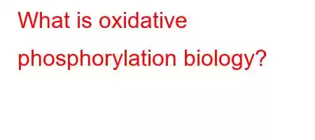 What is oxidative phosphorylation biology