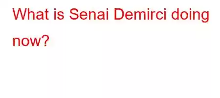 What is Senai Demirci doing now?