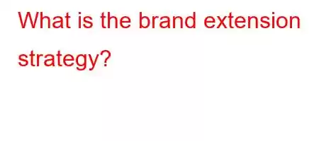 What is the brand extension strategy?