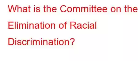 What is the Committee on the Elimination of Racial Discrimination