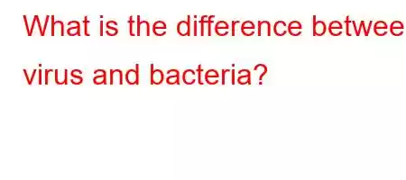 What is the difference between virus and bacteria?