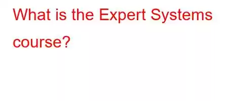 What is the Expert Systems course?