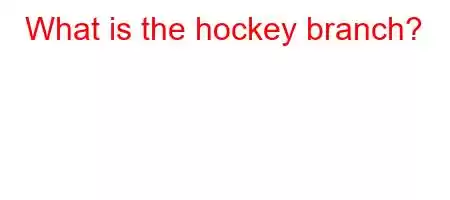 What is the hockey branch?