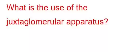 What is the use of the juxtaglomerular apparatus?