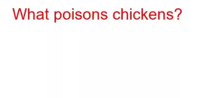 What poisons chickens?