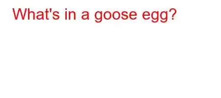 What's in a goose egg?