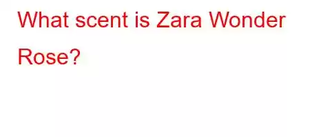 What scent is Zara Wonder Rose?