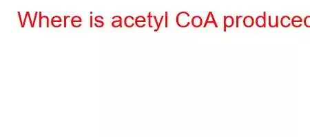 Where is acetyl CoA produced?