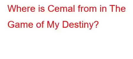 Where is Cemal from in The Game of My Destiny?