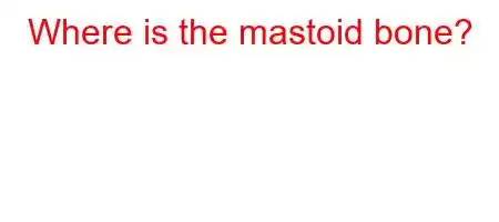 Where is the mastoid bone?