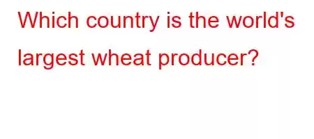 Which country is the world's largest wheat producer?