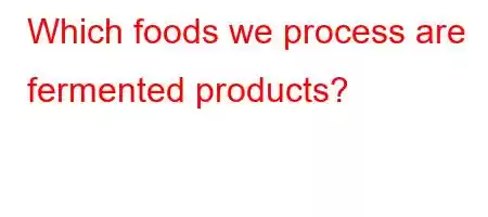 Which foods we process are fermented products?